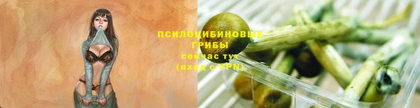 бутират Баксан
