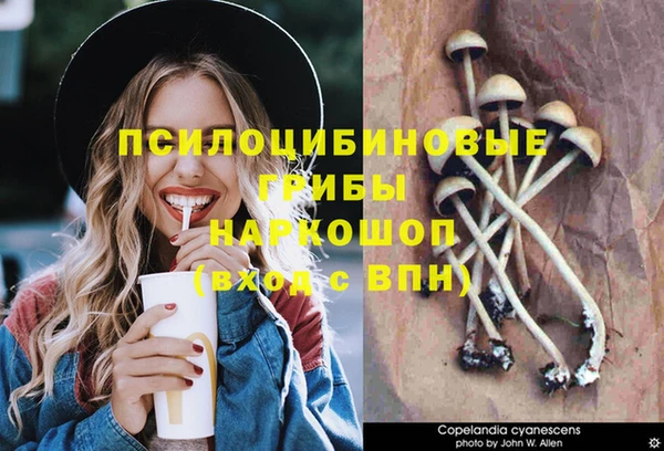 бутират Баксан