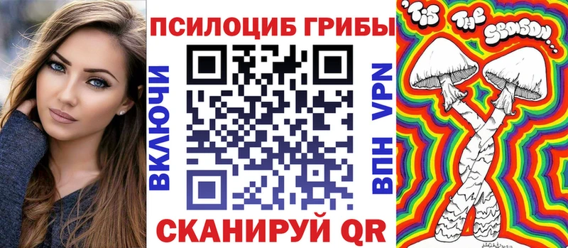 продажа наркотиков  ОМГ ОМГ ССЫЛКА  Псилоцибиновые грибы Cubensis  Мглин 